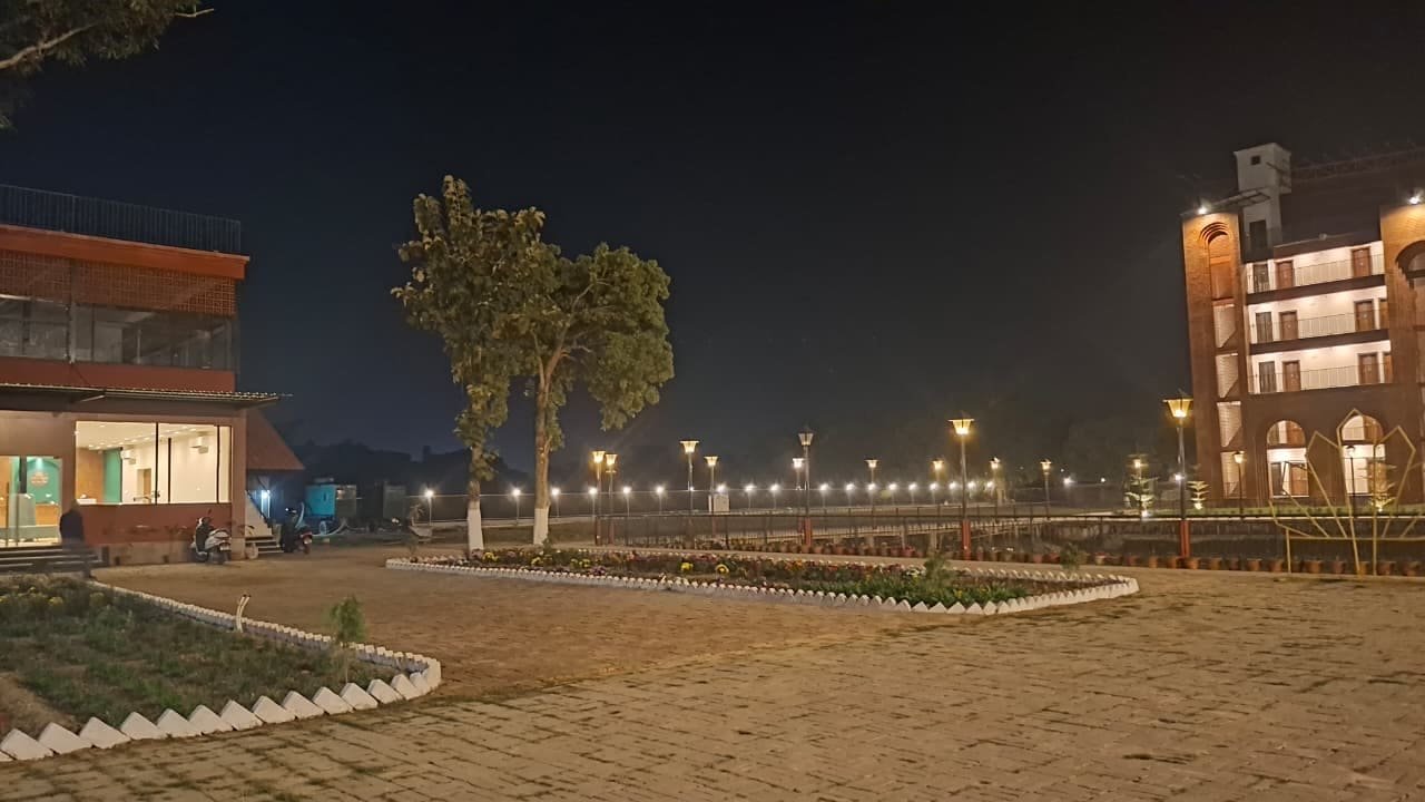 Lamplit paths and trees on the grounds after dark